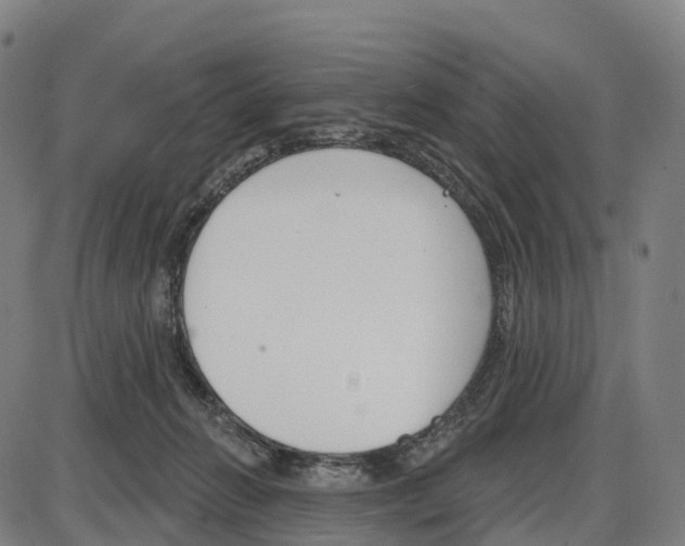 X0000083990270200703161630