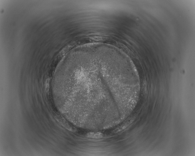 X0000083990271200703161630