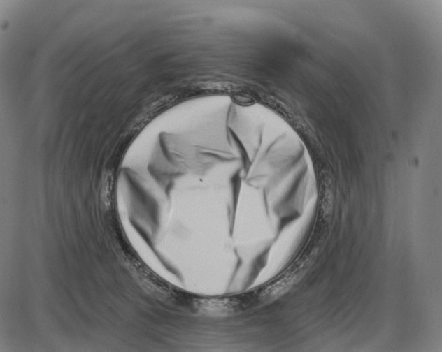 X0000083990273200703161630