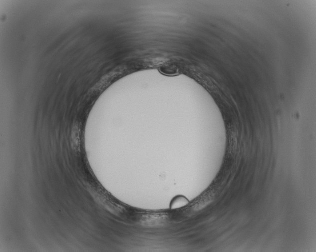 X0000083990274200703161630