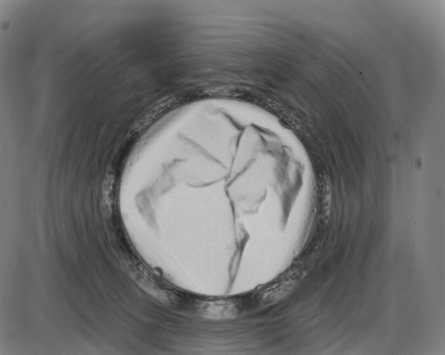 X0000083990275200703161630