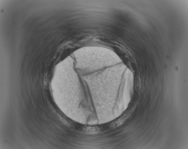 X0000083990277200703161630