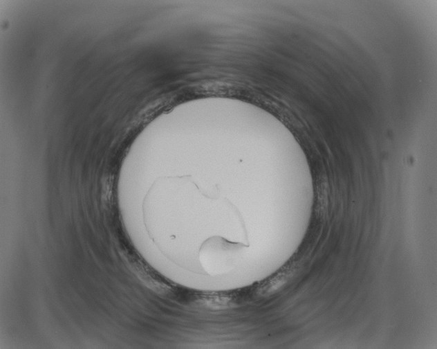 X0000083990278200703161630