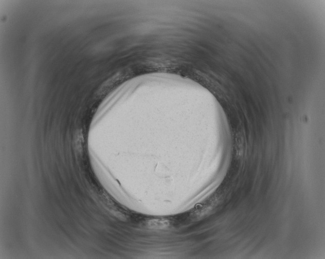 X0000083990279200703161630