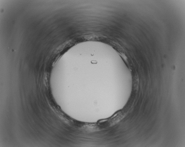 X0000083990280200703161630