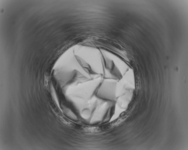 X0000083990281200703161630