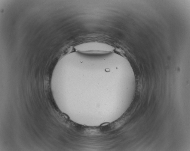 X0000083990283200703161630