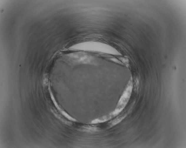 X0000083990284200703161630