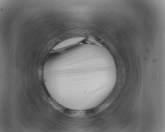 X0000083990288200703161631