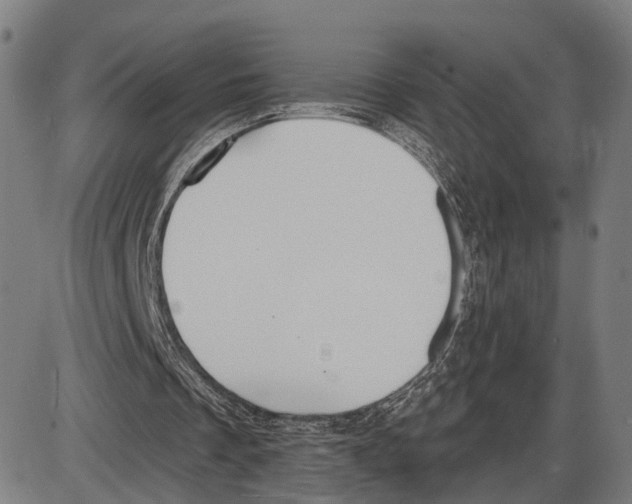 X0000083990289200703161630