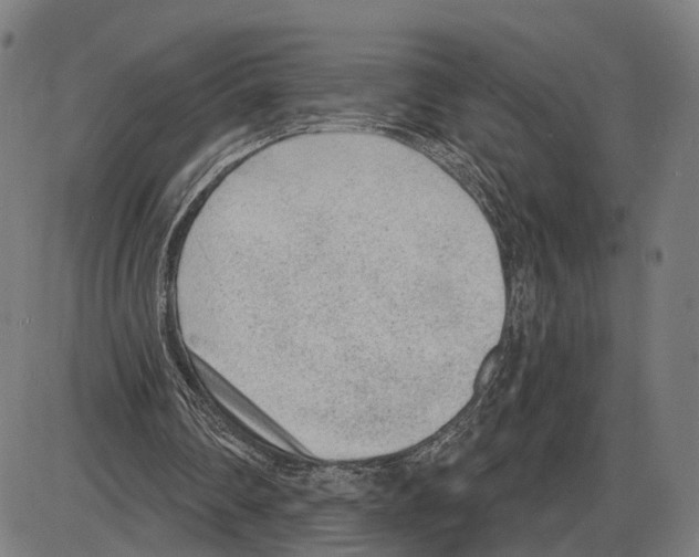 X0000083990290200703161630