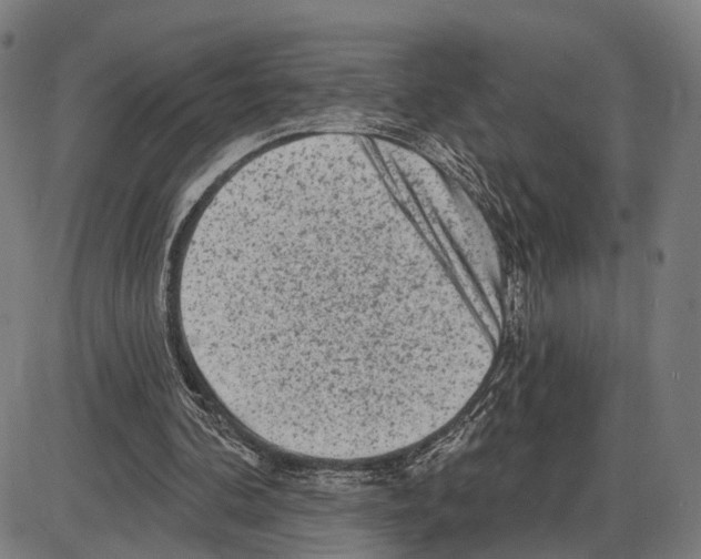 X0000083990292200703161630