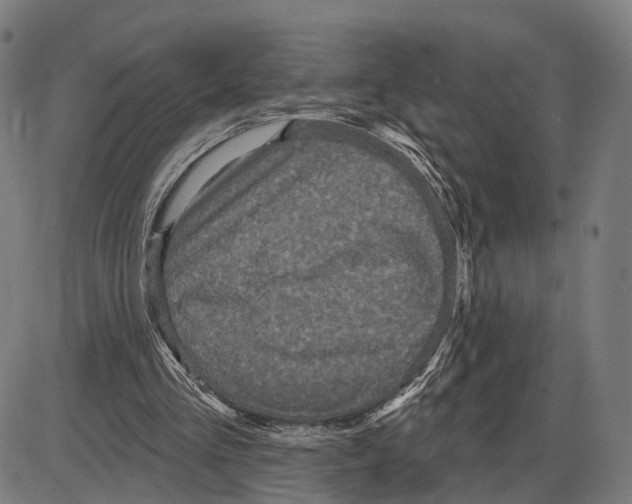 X0000083990293200703161630