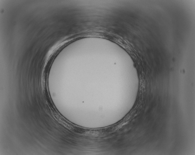 X0000083990294200703161630