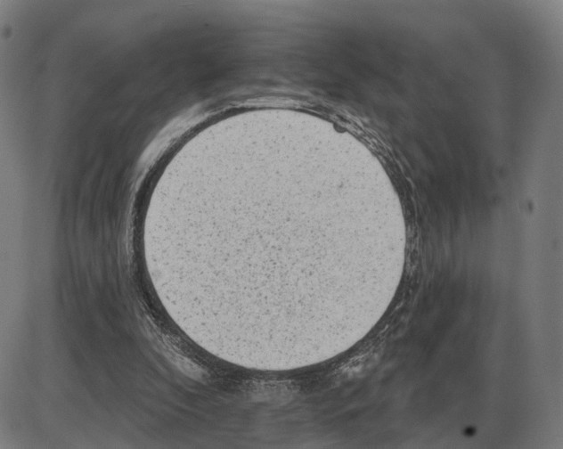 X0000083990296200703161630