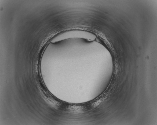 X0000083990299200703161630