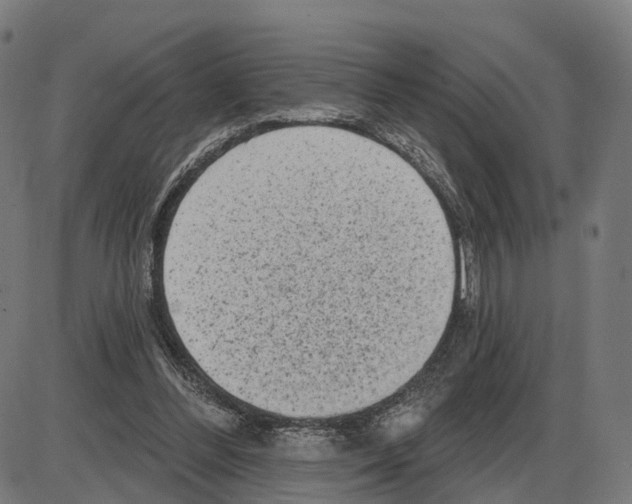 X0000083990300200703161630