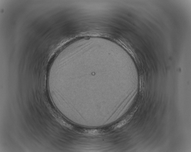 X0000083990301200703161630