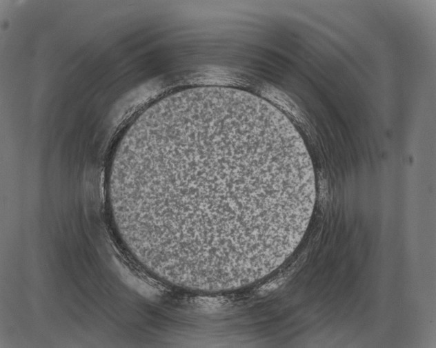 X0000083990302200703161630