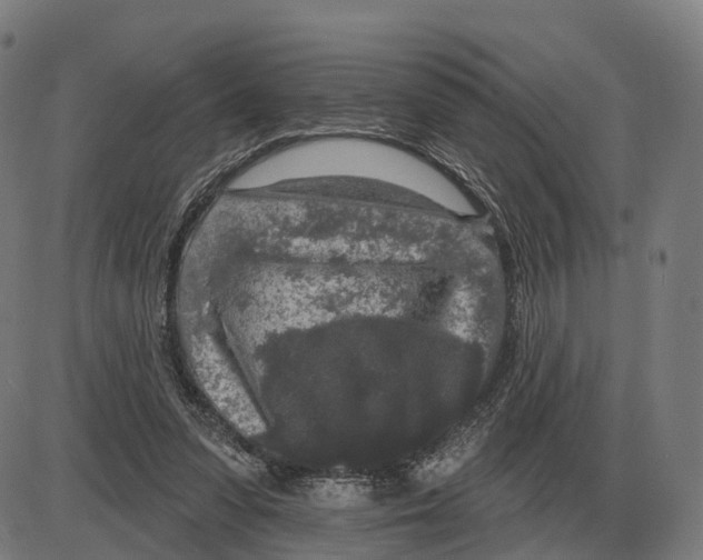 X0000083990303200703161630