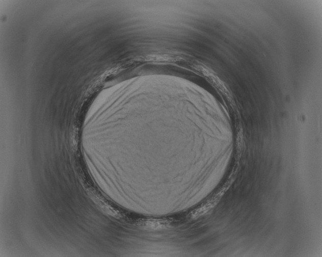 X0000083990305200703161629