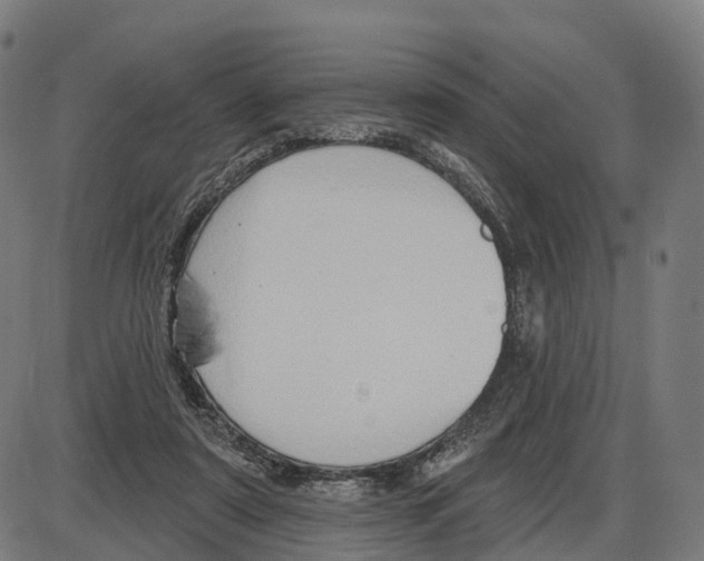 X0000083990307200703161629