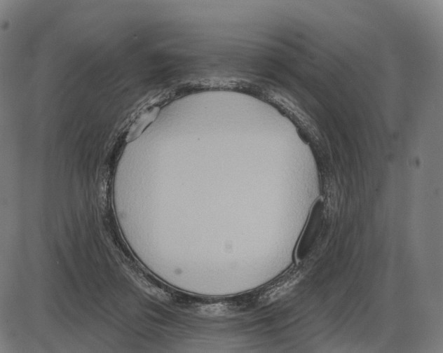 X0000083990309200703161629