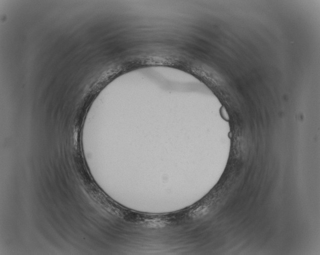 X0000083990310200703161629