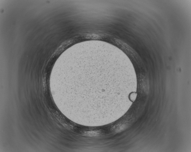 X0000083990312200703161629