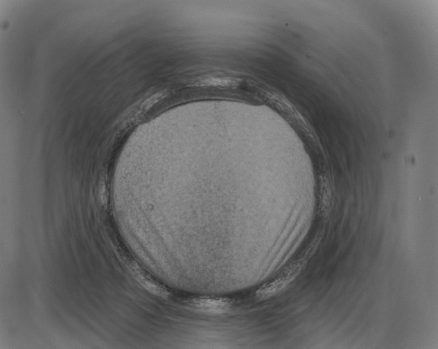 X0000083990313200703161629