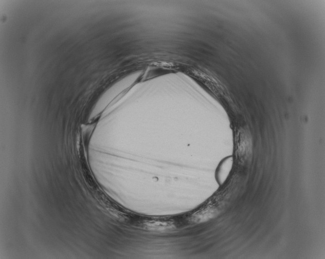 X0000083990315200703161629