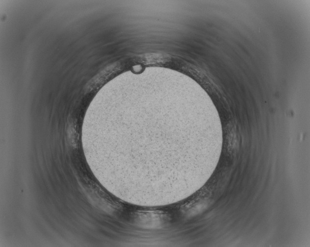 X0000083990316200703161629