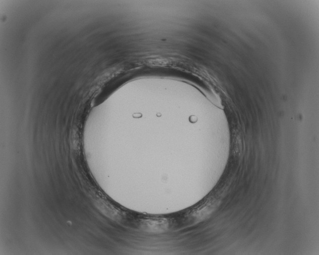 X0000083990317200703161629