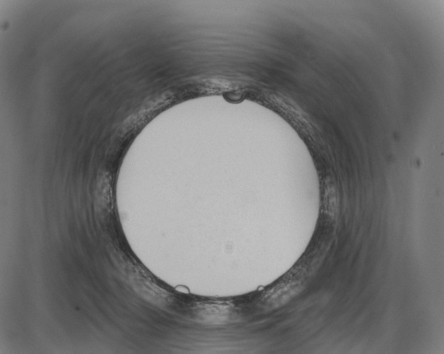 X0000083990318200703161629