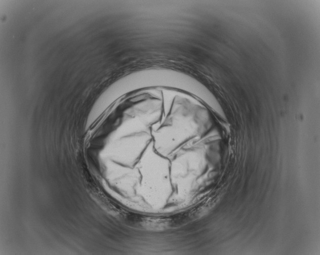 X0000083990319200703161629