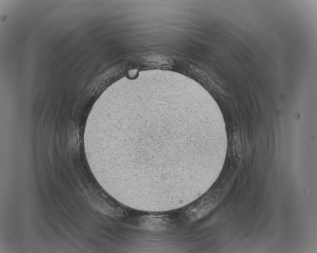 X0000083990320200703161629