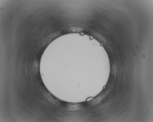 X0000083990321200703161629