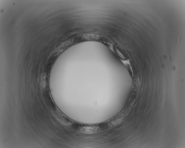 X0000083990323200703161629