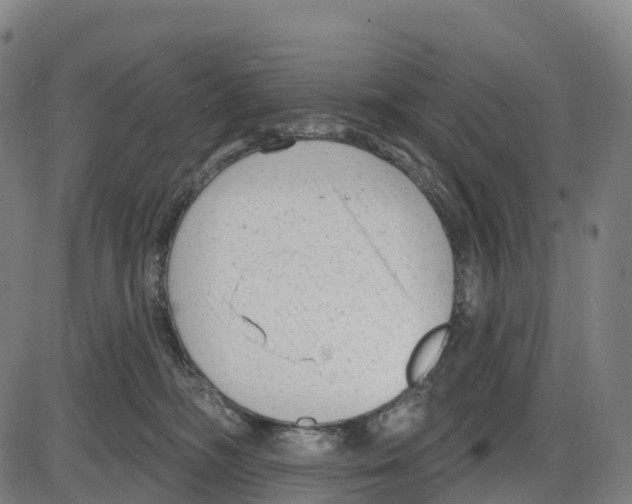 X0000083990326200703161629