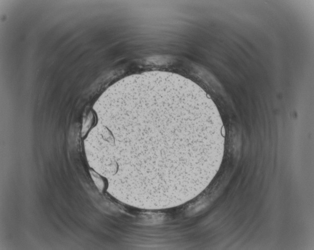 X0000083990328200703161629