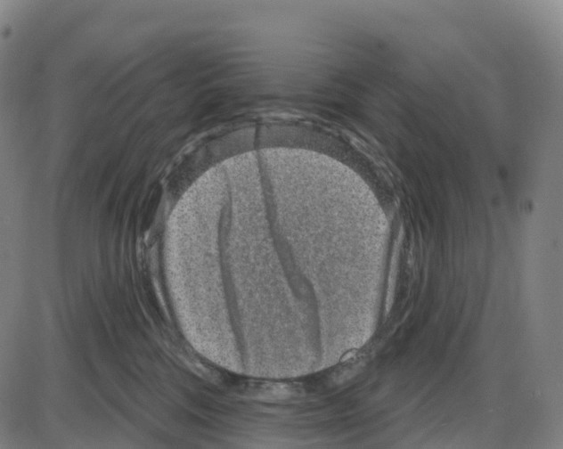 X0000083990330200703161629