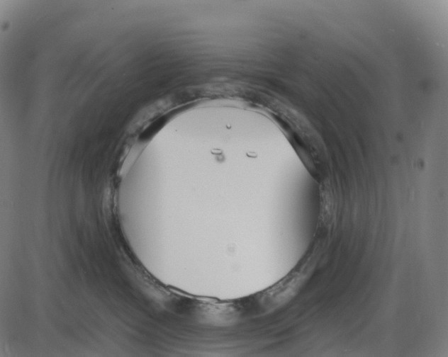 X0000083990333200703161629