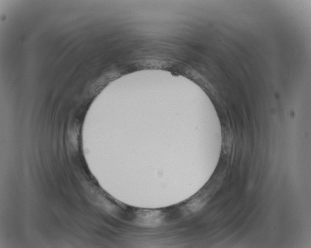 X0000083990334200703161629