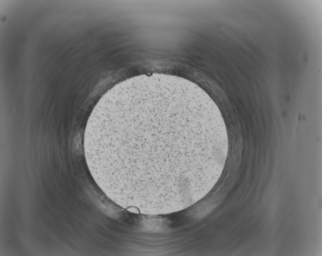 X0000083990336200703161629