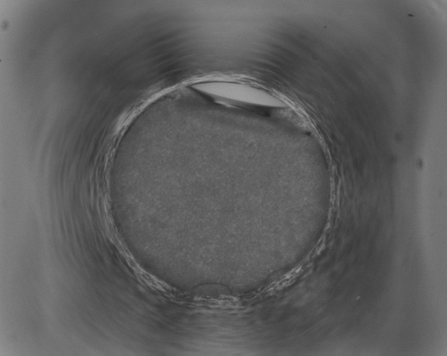 X0000083990337200703161628