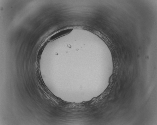 X0000083990338200703161628