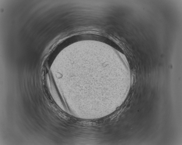 X0000083990339200703161628