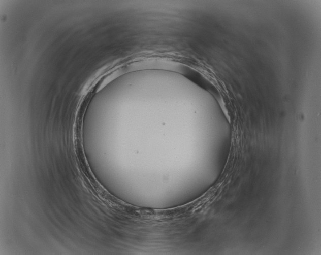 X0000083990340200703161628