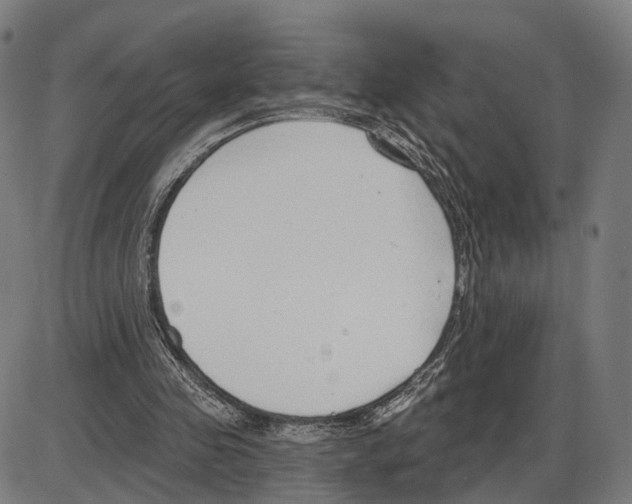 X0000083990341200703161628