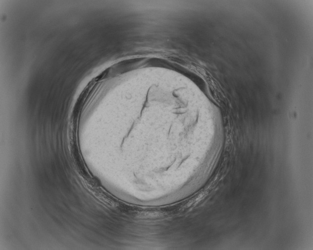 X0000083990342200703161628